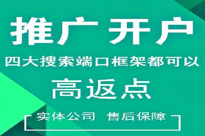 企业案例：SEM推广代运营成果展示